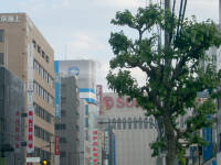 �N���b�N����Ɗg��摜�\��