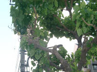 �N���b�N����Ɗg��摜�\��